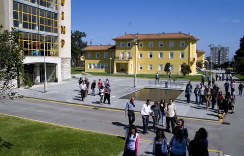 Universidad Internacional Menéndez Pelayo